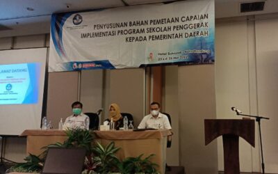 Penyusunan Bahan Pemetaan capaian PSP