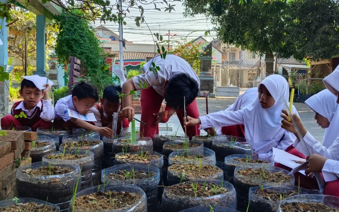 STRATEGI MENINGKATKAN KEMAMPUAN NUMERASI INSPIRASI DARI SDN 1 CILANDAK KAB. PURWAKARTA